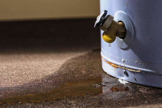 Best 24/7 water damage repair  in Chester Heights, PA