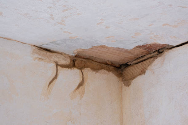  Chester Heights, PA Water damage restoration Pros