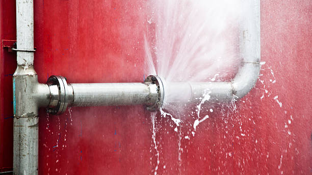 Best Professional water damage repair  in Chester Heights, PA
